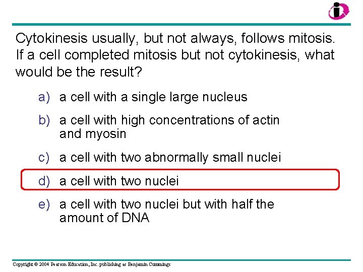 Cytokinesis usually, but not always, follows mitosis. If a cell completed mitosis but not