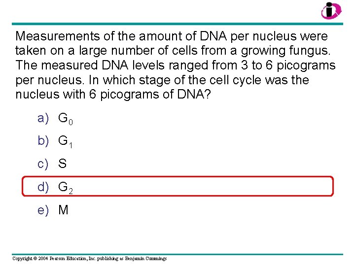 Measurements of the amount of DNA per nucleus were taken on a large number