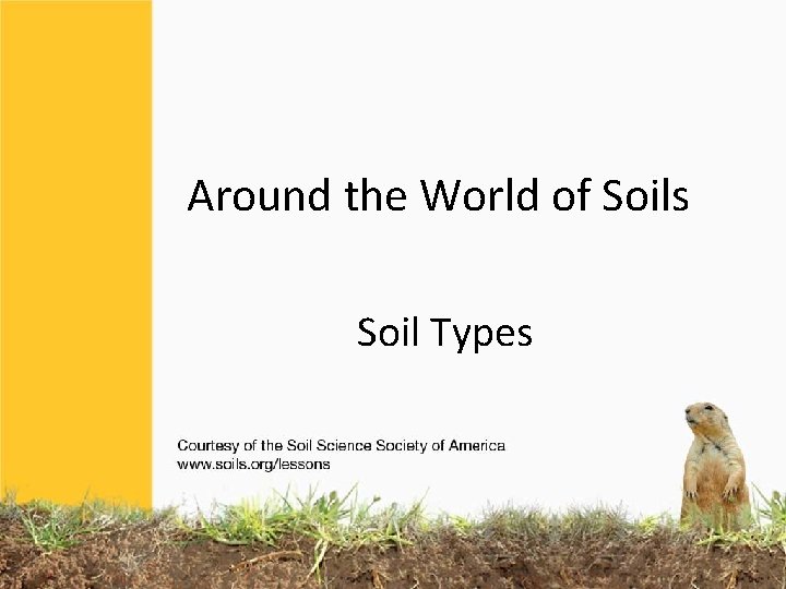 Around the World of Soils Soil Types 