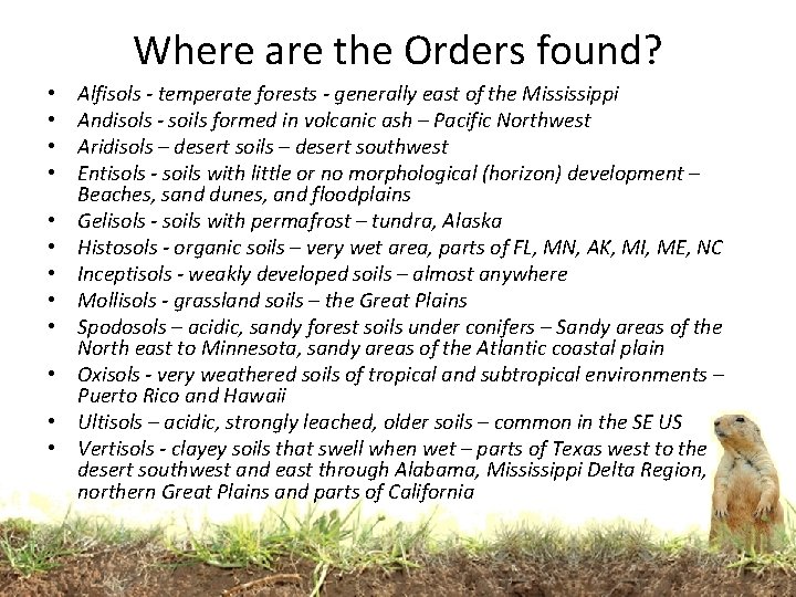 Where are the Orders found? • • • Alfisols - temperate forests - generally