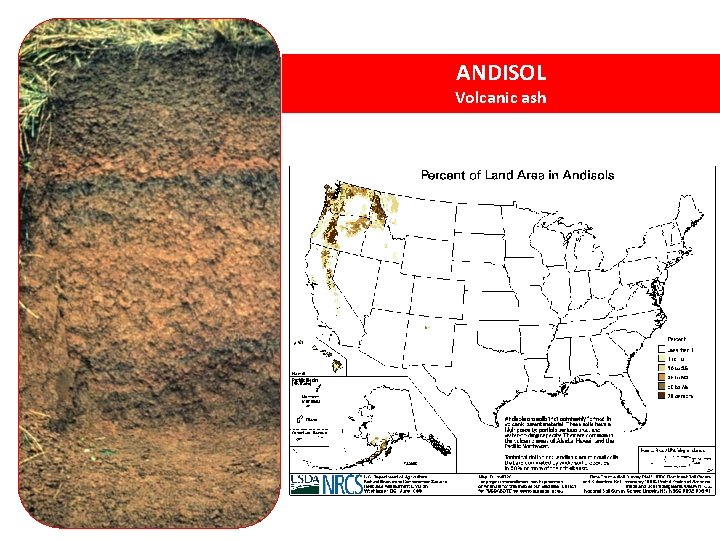 ANDISOL Volcanic ash 