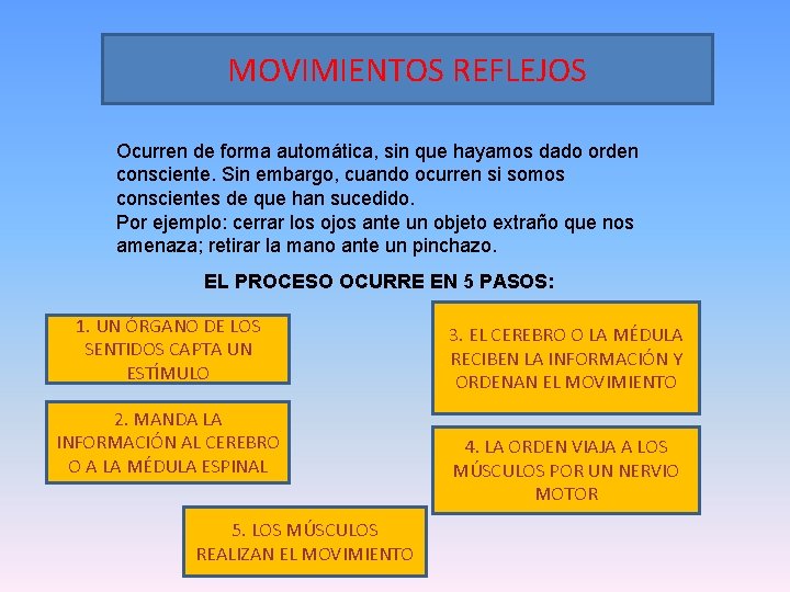 MOVIMIENTOS REFLEJOS Ocurren de forma automática, sin que hayamos dado orden consciente. Sin embargo,