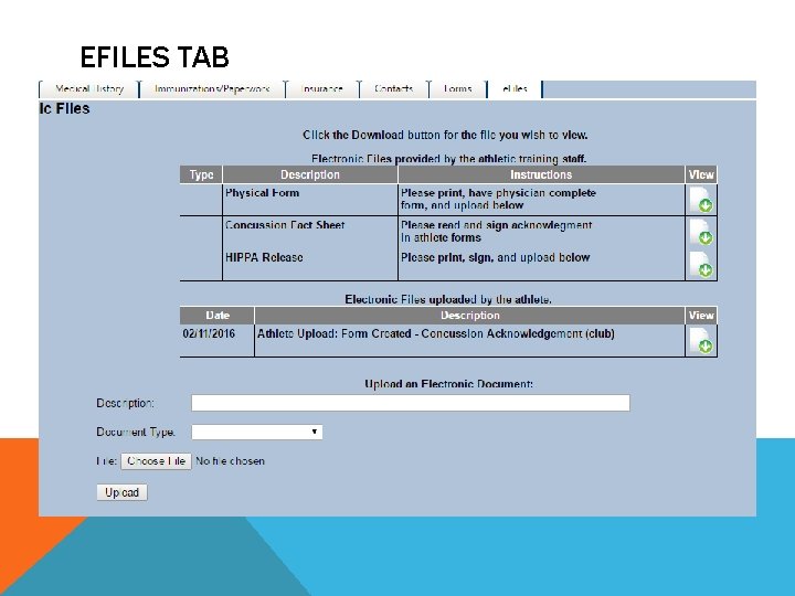 EFILES TAB 