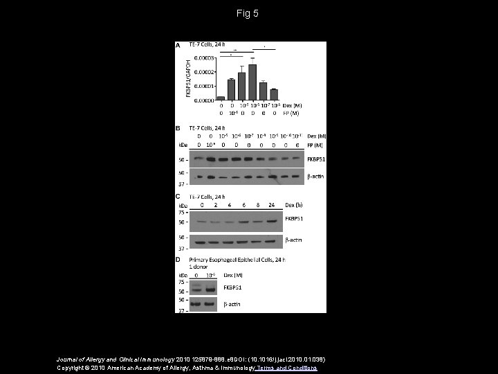 Fig 5 Journal of Allergy and Clinical Immunology 2010 125879 -888. e 8 DOI: