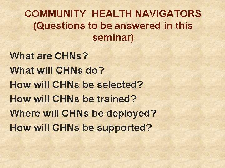 COMMUNITY HEALTH NAVIGATORS (Questions to be answered in this seminar) What are CHNs? What