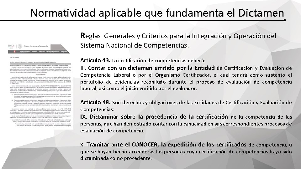 Normatividad aplicable que fundamenta el Dictamen Reglas Generales y Criterios para la Integración y