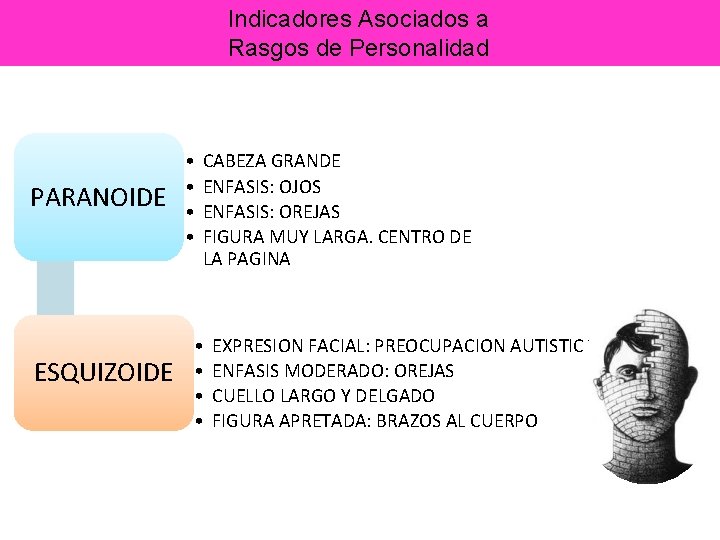 Indicadores Asociados a Rasgos de Personalidad PARANOIDE ESQUIZOIDE • • CABEZA GRANDE ENFASIS: OJOS