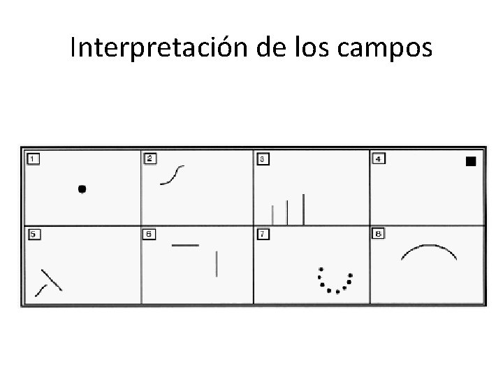 Interpretación de los campos 