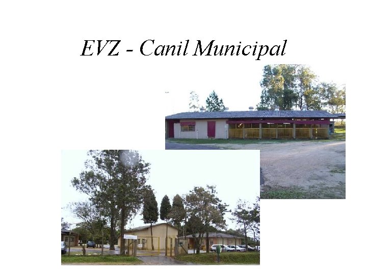 EVZ - Canil Municipal 