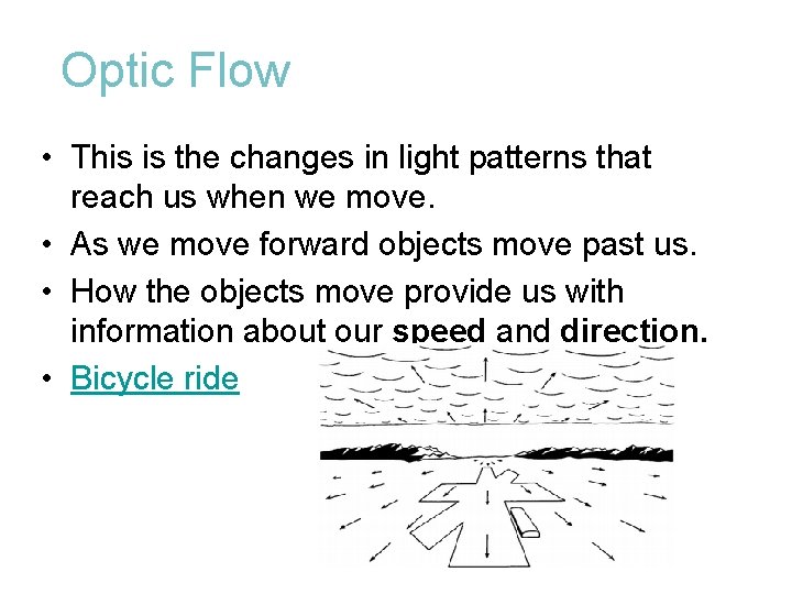 Optic Flow • This is the changes in light patterns that reach us when