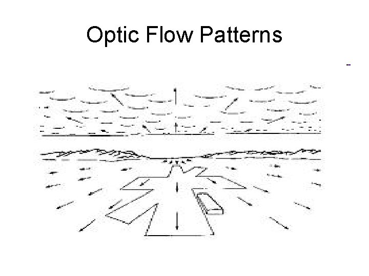 Optic Flow Patterns 