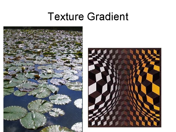 Texture Gradient 