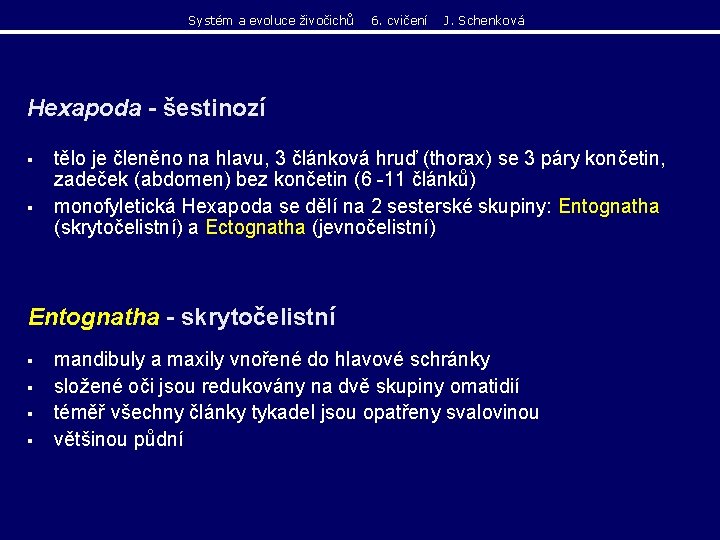 Systém a evoluce živočichů 6. cvičení J. Schenková Hexapoda - šestinozí § § tělo Systém a evoluce živočichů 6. cvičení J. Schenková Hexapoda - šestinozí § § tělo