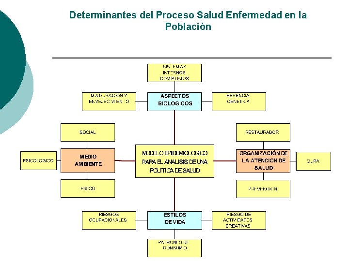 Determinantes del Proceso Salud Enfermedad en la Población Determinantes del Proceso Salud Enfermedad en la Población
