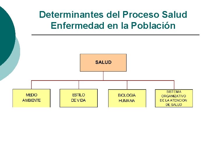 Determinantes del Proceso Salud Enfermedad en la Población Determinantes del Proceso Salud Enfermedad en la Población