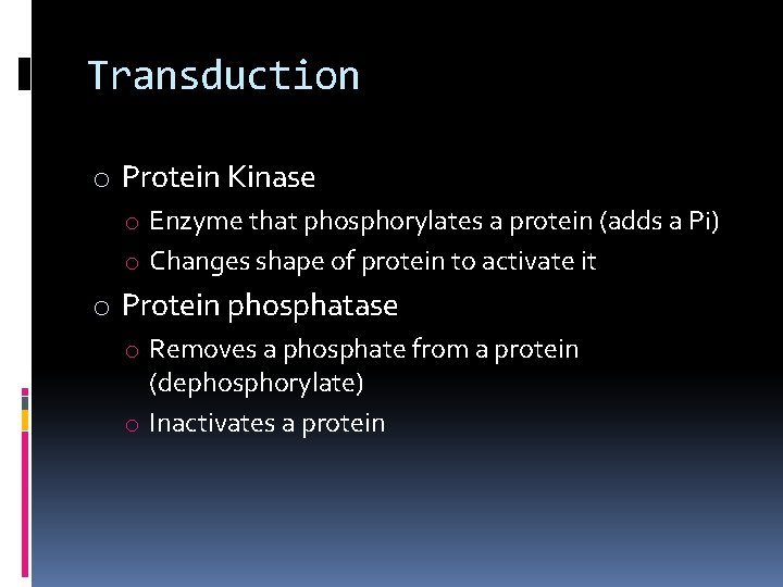 Transduction o Protein Kinase o Enzyme that phosphorylates a protein (adds a Pi) o Transduction o Protein Kinase o Enzyme that phosphorylates a protein (adds a Pi) o