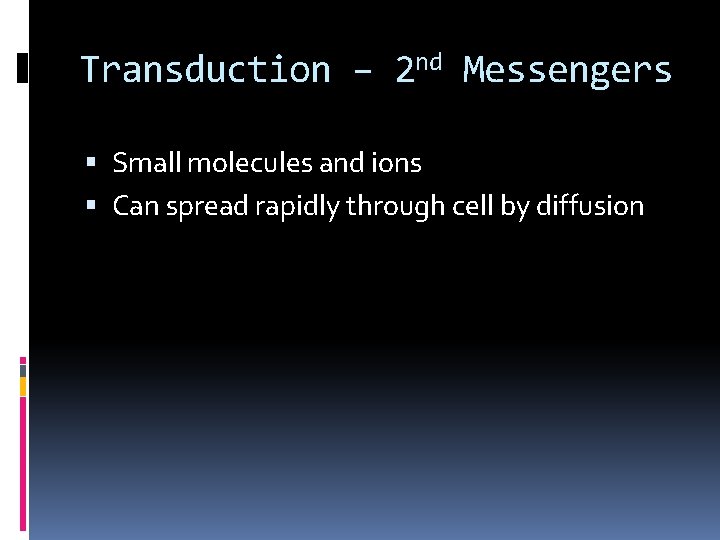 Transduction – 2 nd Messengers Small molecules and ions Can spread rapidly through cell Transduction – 2 nd Messengers Small molecules and ions Can spread rapidly through cell