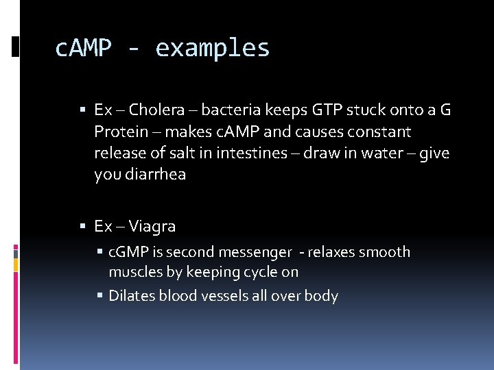 c. AMP - examples Ex – Cholera – bacteria keeps GTP stuck onto a