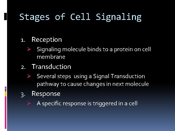 Stages of Cell Signaling 1. Reception Ø Signaling molecule binds to a protein on