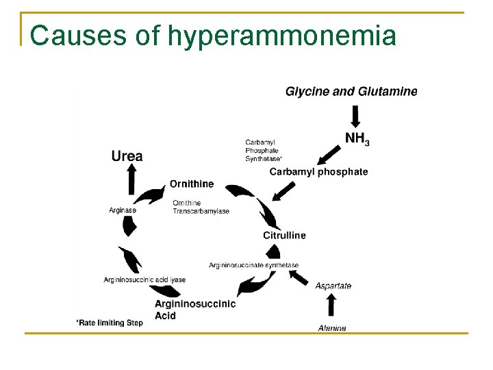 Causes of hyperammonemia 