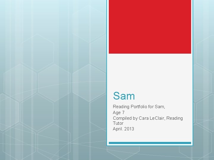 Sam Reading Portfolio for Sam, Age 7 Compiled by Cara Le. Clair, Reading Tutor