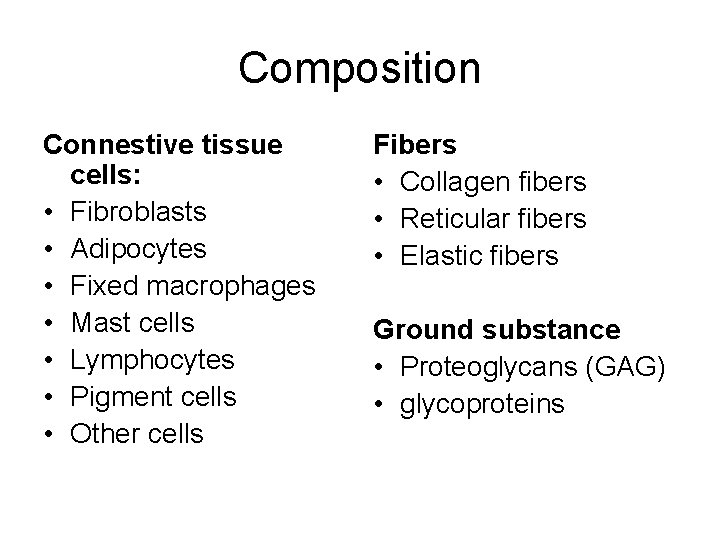 Composition Connestive tissue cells: • Fibroblasts • Adipocytes • Fixed macrophages • Mast cells