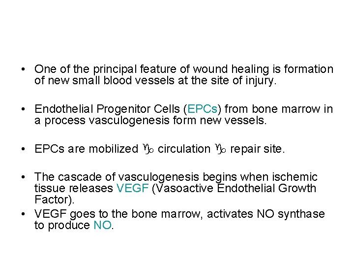  • One of the principal feature of wound healing is formation of new