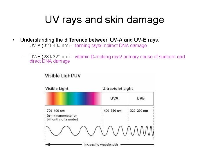 UV rays and skin damage • Understanding the difference between UV-A and UV-B rays: