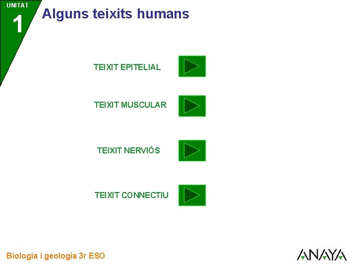UNITAT 1 3 Alguns teixits humans TEIXIT EPITELIAL TEIXIT MUSCULAR TEIXIT NERVIÓS TEIXIT CONNECTIU