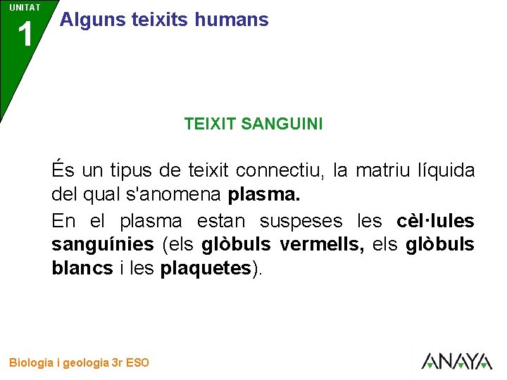 UNITAT 1 3 Alguns teixits humans TEIXIT SANGUINI És un tipus de teixit connectiu,