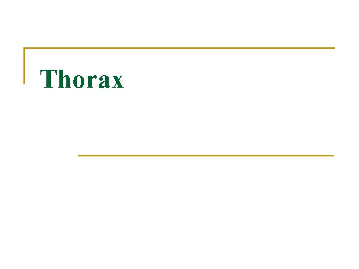 Thorax 