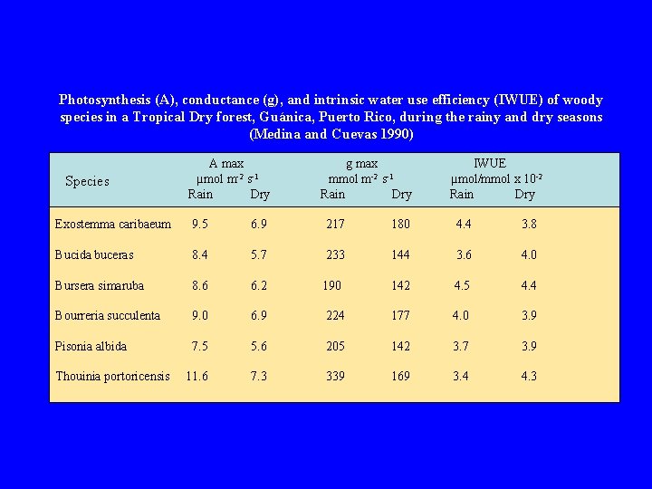 Photosynthesis (A), conductance (g), and intrinsic water use efficiency (IWUE) of woody species in