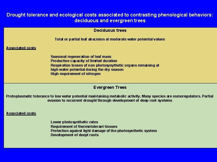 Drought tolerance and ecological costs associated to contrasting phenological behaviors: deciduous and evergreen trees