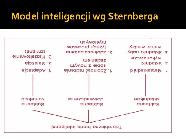 Model inteligencji wg Sternberga 