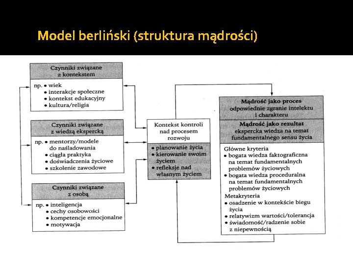 Model berliński (struktura mądrości) 