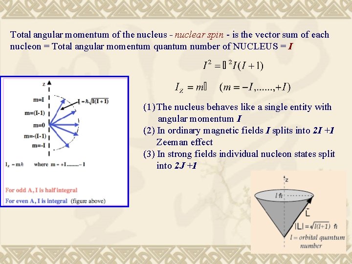 Total angular momentum of the nucleus - nuclear spin - is the vector sum