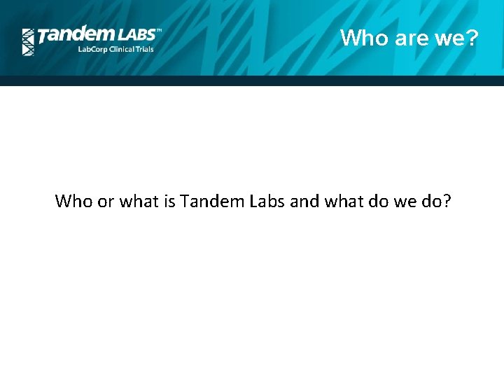 Who are we? Who or what is Tandem Labs and what do we do?