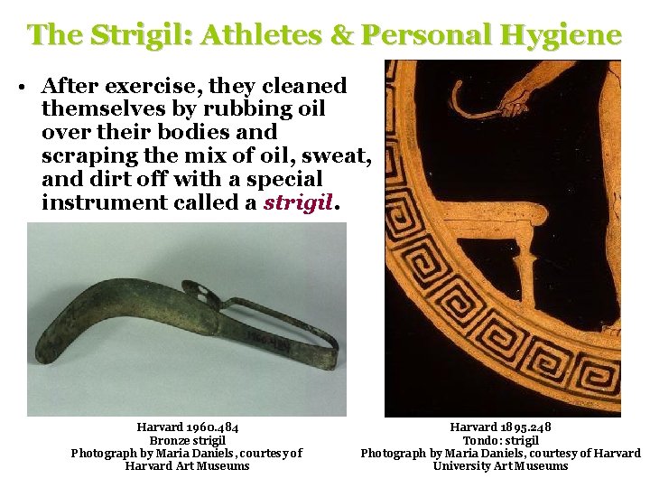 The Strigil: Athletes & Personal Hygiene • After exercise, they cleaned themselves by rubbing