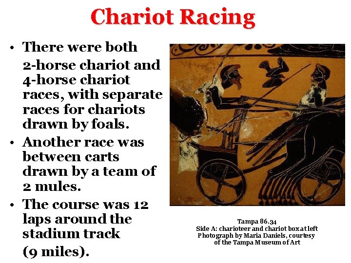 Chariot Racing • There were both 2 -horse chariot and 4 -horse chariot races,