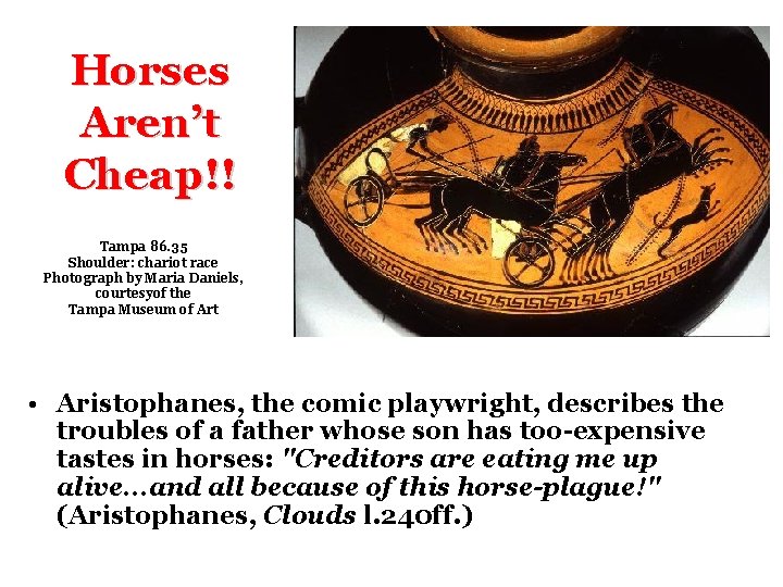 Horses Aren’t Cheap!! Tampa 86. 35 Shoulder: chariot race Photograph by Maria Daniels, courtesyof