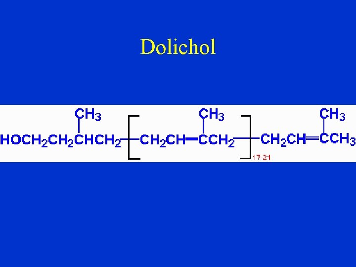 Dolichol 
