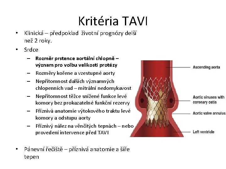 Kritéria TAVI • Klinická – předpoklad životní prognózy delší než 2 roky. • Srdce