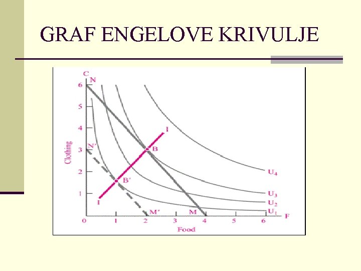 GRAF ENGELOVE KRIVULJE 