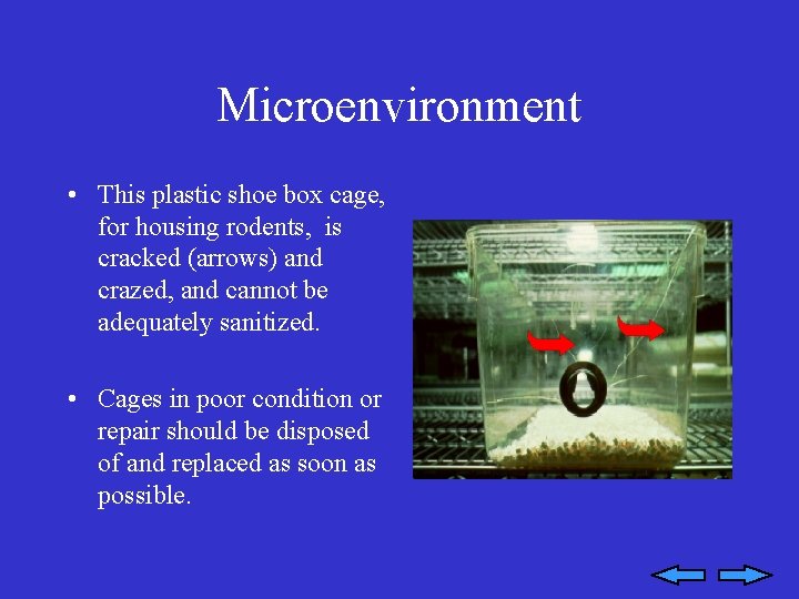 Microenvironment • This plastic shoe box cage, for housing rodents, is cracked (arrows) and