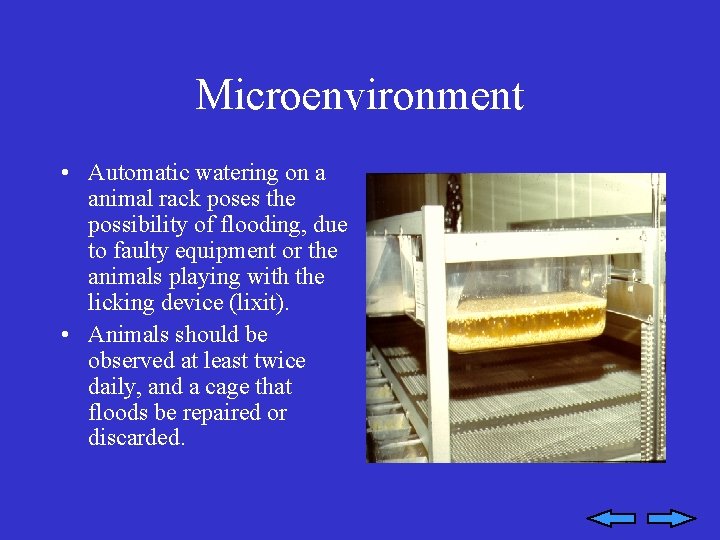 Microenvironment • Automatic watering on a animal rack poses the possibility of flooding, due