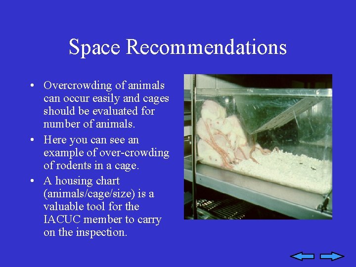 Space Recommendations • Overcrowding of animals can occur easily and cages should be evaluated