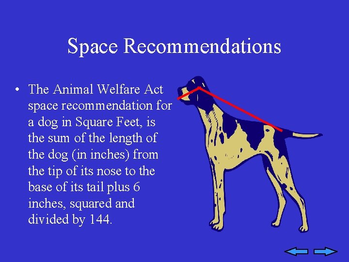 Space Recommendations • The Animal Welfare Act space recommendation for a dog in Square