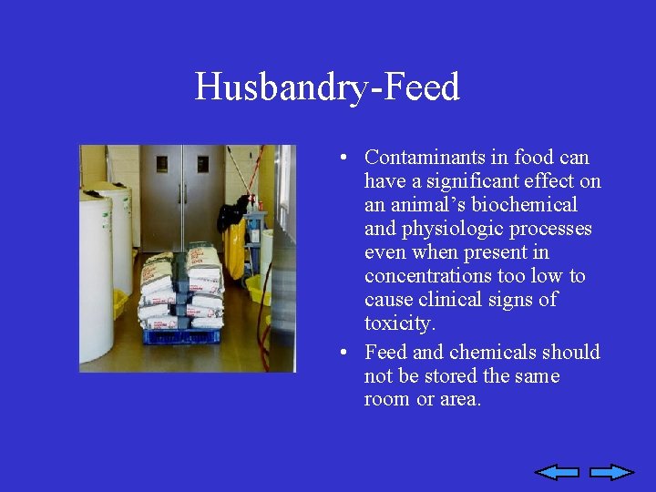 Husbandry-Feed • Contaminants in food can have a significant effect on an animal’s biochemical