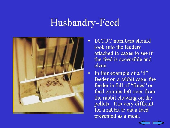 Husbandry-Feed • IACUC members should look into the feeders attached to cages to see