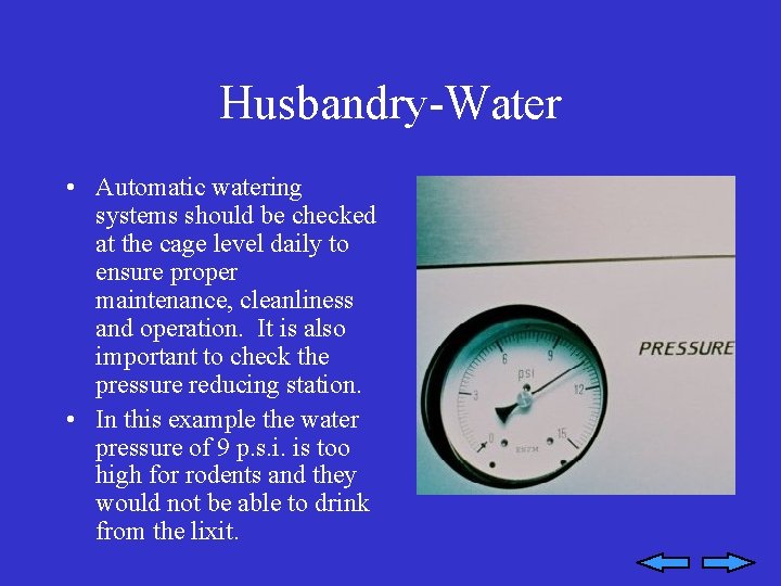 Husbandry-Water • Automatic watering systems should be checked at the cage level daily to